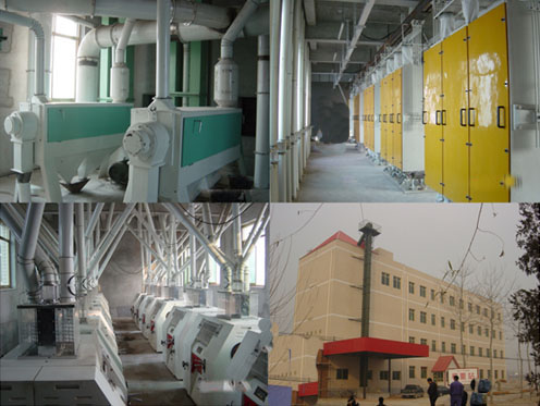 Maize Flour Mill manufacturer