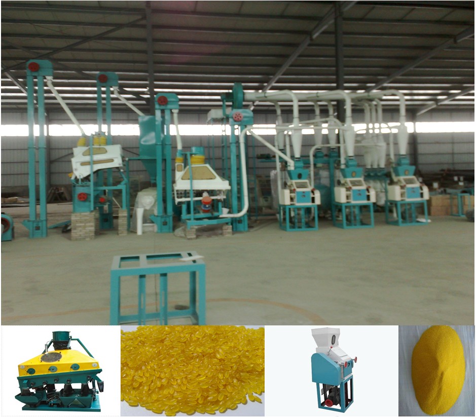 energy consumption maize processing equipment