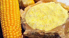  Nutrition Benefits of Maize Flour