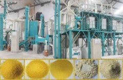 The Latest News of Maize FLour Mill Industry in India