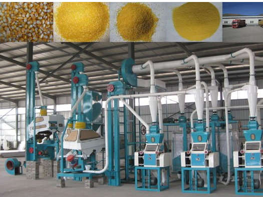 maize processing equipment supplier