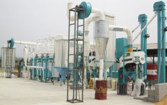 Why Maize Processing Line Develop So Quickly