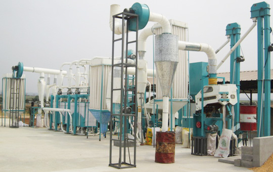 maize processing line